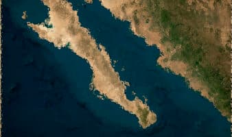 Proyecto Saguaro es 'imperialismo ecológico' en el Golfo de California: Mittermeier