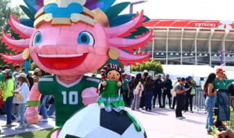 IMPI y CDMX niegan orden para retirar ajolote de inmediaciones del Estadio Ciudad de México