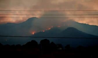 Nayarit | Incendio forestal arrasa con más de 6 mil hectáreas en La Yesca