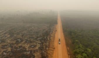 La grave sequía en la Amazonía causó 'impactos desproporcionados', según un estudio
