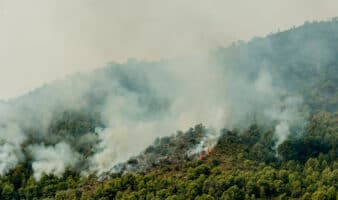 España contiene varios focos de los incendios tras 77,000 hectáreas quemadas