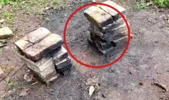 'Movías la maleza y salía un huesito', dice buscadora sobre sitio de exterminio en Nayarit