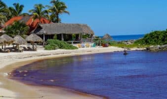 Aeroméxico y Volaris suspenden vuelos a Tulum