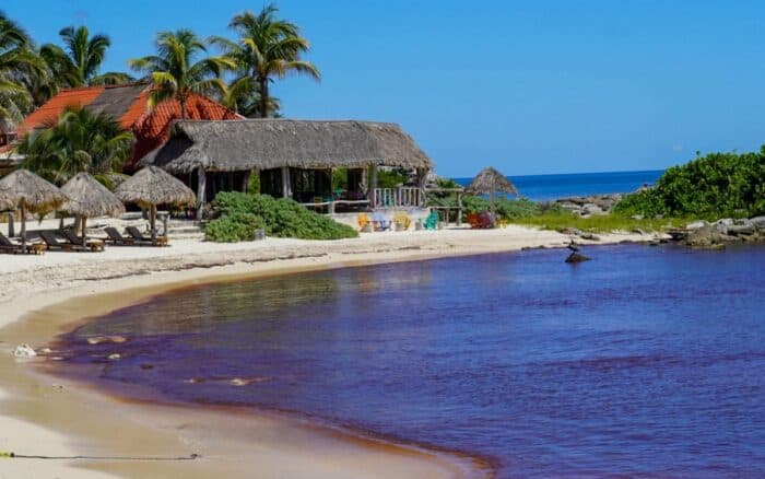 Aeroméxico y Volaris suspenden vuelos a Tulum